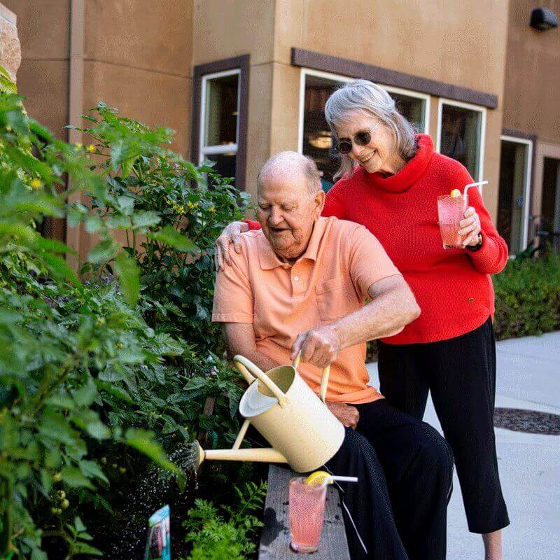 Watering the garden at Davis Community